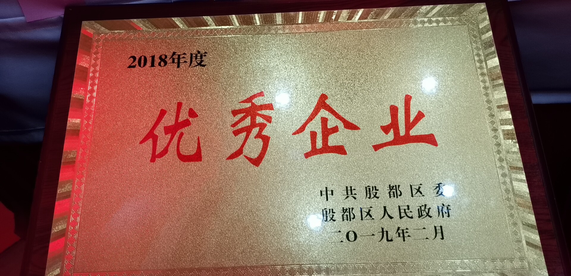 河南鴻宸建設(shè)有限公司榮獲安陽(yáng)市殷都區(qū)2018年度優(yōu)秀企業(yè)稱(chēng)號(hào)